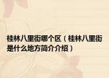 桂林八里街哪个区（桂林八里街是什么地方简介介绍）