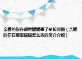 亲爱的你在哪里媛媛丢了多长时间（亲爱的你在哪里媛媛怎么丢的简介介绍）