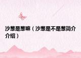 沙葱是葱嘛（沙葱是不是葱简介介绍）