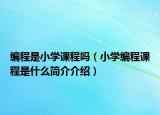编程是小学课程吗（小学编程课程是什么简介介绍）
