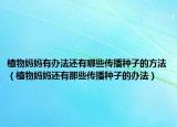 植物妈妈有办法还有哪些传播种子的方法（植物妈妈还有那些传播种子的办法）