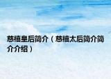 慈禧皇后简介（慈禧太后简介简介介绍）