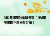 浙D是哪里的车牌号码（浙d是哪里的车牌简介介绍）