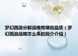 梦幻西游分解战魄有哪些品质（梦幻西游战魄怎么来的简介介绍）