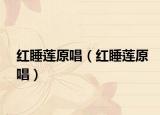 红睡莲原唱（红睡莲原唱）