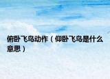 俯卧飞鸟动作（仰卧飞鸟是什么意思）