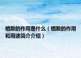 植酸的作用是什么（植酸的作用和用途简介介绍）