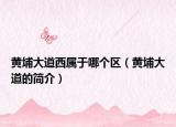 黄埔大道西属于哪个区（黄埔大道的简介）