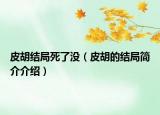 皮胡结局死了没（皮胡的结局简介介绍）