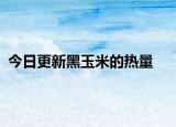 今日更新黑玉米的热量