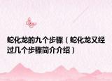 蛇化龙的九个步骤（蛇化龙又经过几个步骤简介介绍）