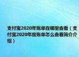 支付宝2020年账单在哪里查看（支付宝2020年度账单怎么查看简介介绍）