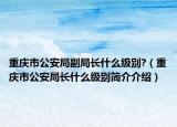 重庆市公安局副局长什么级别?（重庆市公安局长什么级别简介介绍）