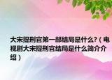 大宋提刑官第一部结局是什么?（电视剧大宋提刑官结局是什么简介介绍）
