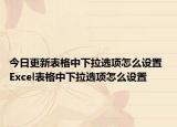 今日更新表格中下拉选项怎么设置 Excel表格中下拉选项怎么设置