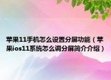 苹果11手机怎么设置分屏功能（苹果ios11系统怎么调分屏简介介绍）
