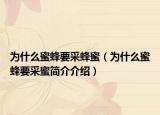 为什么蜜蜂要采蜂蜜（为什么蜜蜂要采蜜简介介绍）