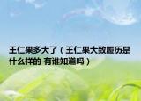 王仁果多大了（王仁果大致履历是什么样的 有谁知道吗）