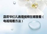 霹雳爷们儿直播视频在哪里看（电视观看方法）