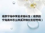 南京宁海中学美术特长生（南京的宁海高中怎么样美术特长生好考吗）