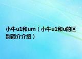 小牛u1和um（小牛u1和u的区别简介介绍）