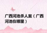 广西河池杀人案（广西河池在哪里）