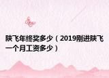 陕飞年终奖多少（2019刚进陕飞一个月工资多少）