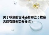 关于牧童的古诗还有哪些（牧童古诗有哪些简介介绍）