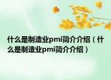 什么是制造业pmi简介介绍（什么是制造业pmi简介介绍）