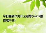 今日更新华为什么意思(mate翻译成中文)