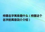 梓墨名字寓意是什么（梓墨这个名字的寓意简介介绍）