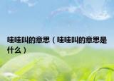 哇哇叫的意思（哇哇叫的意思是什么）