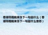 春潮带雨晚来急下一句是什么（春潮带雨晚来急下一句是什么意思）