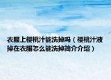 衣服上樱桃汁能洗掉吗（樱桃汁液掉在衣服怎么能洗掉简介介绍）