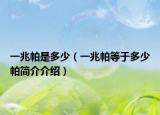 一兆帕是多少（一兆帕等于多少帕简介介绍）