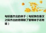 匈奴最杰出的单于（匈奴族在秦汉之际杰出的首领除了冒顿单于还有谁）