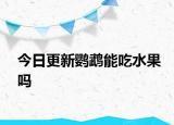 今日更新鹦鹉能吃水果吗