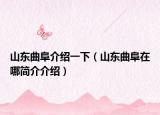 山东曲阜介绍一下（山东曲阜在哪简介介绍）