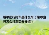 哈啰出行打车是什么车（哈啰出行怎么打车简介介绍）