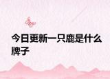 今日更新一只鹿是什么牌子