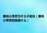 麦咭小怪兽为什么不能玩（麦咭小怪兽到底是什么）
