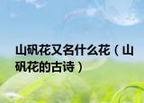 山矾花又名什么花（山矾花的古诗）