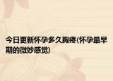 今日更新怀孕多久胸疼(怀孕最早期的微妙感觉)