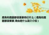 鹿角和鹿腿都很重要他们什么（鹿角和鹿腿都很重要,理由是什么简介介绍）