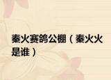 秦火赛鸽公棚（秦火火是谁）