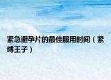紧急避孕片的最佳服用时间（紧缚王子）