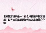 世界旅游组织是一个什么样的国际旅游组织（世界旅游组织是如何定义旅游简介介绍）