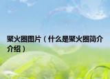 聚火圈图片（什么是聚火圈简介介绍）