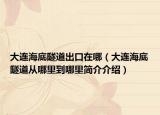 大连海底隧道出口在哪（大连海底隧道从哪里到哪里简介介绍）