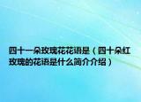 四十一朵玫瑰花花语是（四十朵红玫瑰的花语是什么简介介绍）
